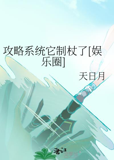 攻略系统什么意思